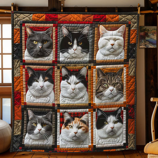Tuxedo In Box WP1408019CL Quilt Blanket
