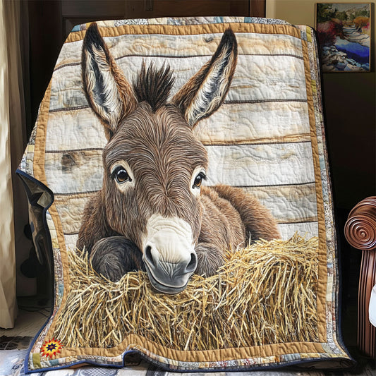 Donkey YR2412029CL Quilt Blanket