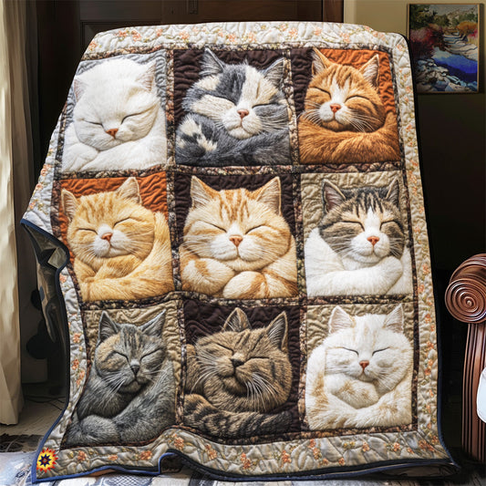 Royal Cat Sleeping YR2512049CL Quilt Blanket