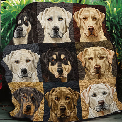 Husky Dogs WO0808022CL Quilt Blanket