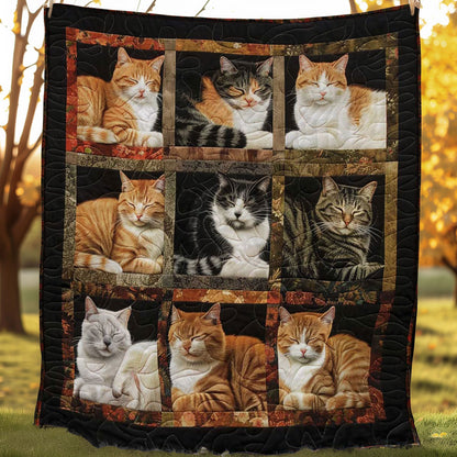 Snoozy Snuggles Cats WN1508084CL Quilt Blanket