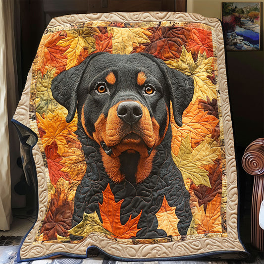 Rottweiler's Autumn Haven YR2101048CL Quilt Blanket
